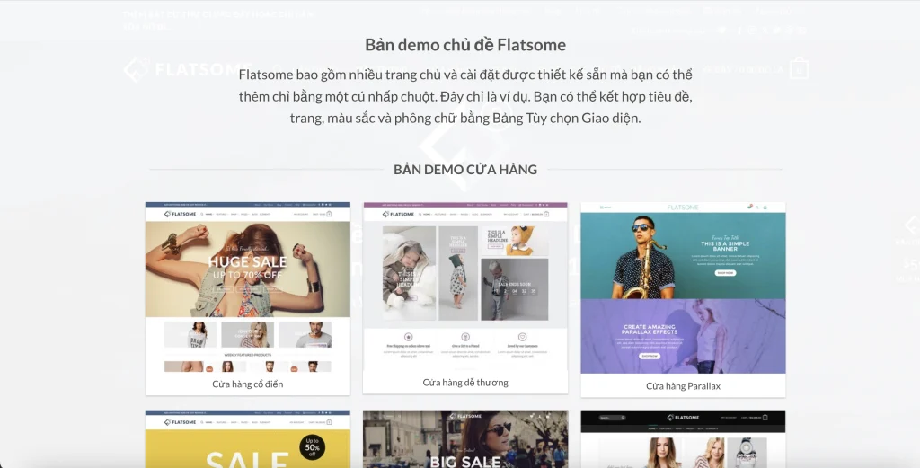 Tìm hiểu về Wordpress cho người mới bắt đầu 6 Flatsome theme