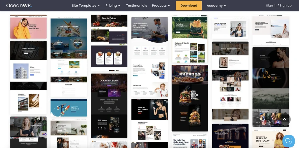 Website OceanWP